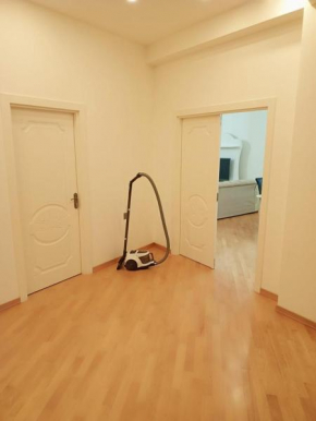 Apartment in Baku, White City